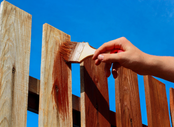 Fence Painting