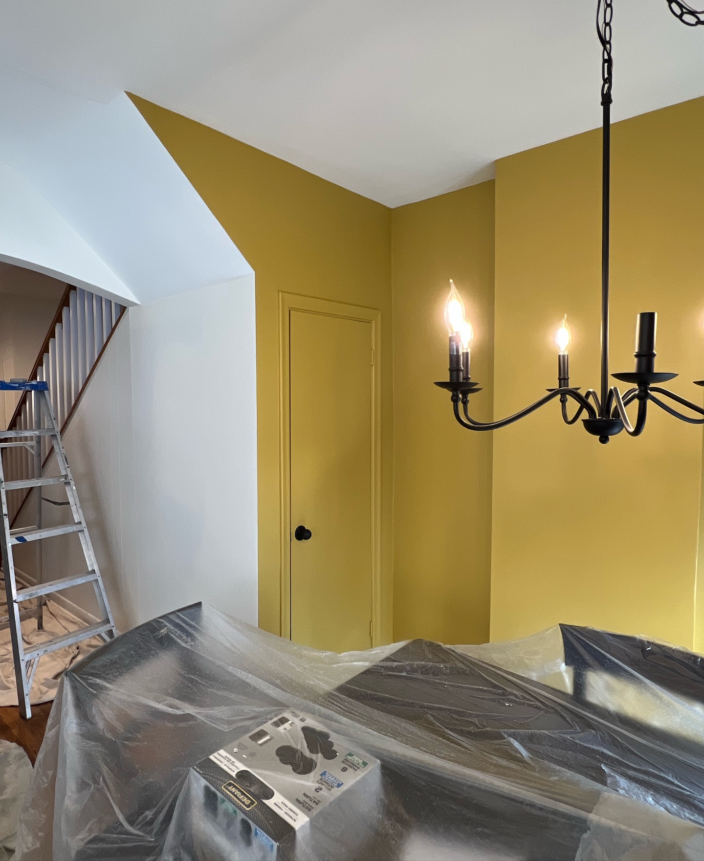 Interior House Painting